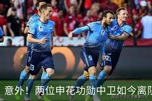 意外！两位申花功勋中卫如今离队后在中乙俱乐部再聚首，引发热议