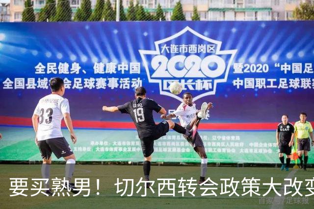 要买熟男！切尔西转会政策大改变 想引进35岁维尔贝克